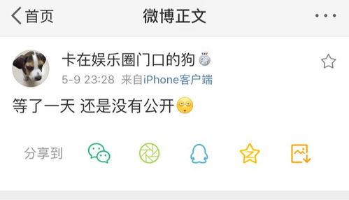 吃瓜爆料账号,吃瓜账号带你领略幕后风云